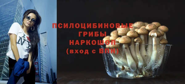 шишки Аркадак