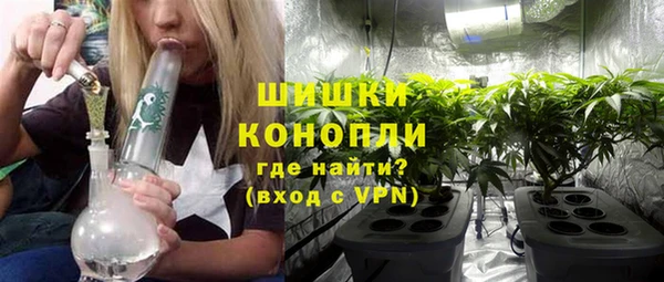 шишки Аркадак