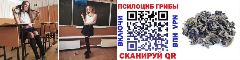 наркошоп  Усть-Илимск  Псилоцибиновые грибы MAGIC MUSHROOMS 