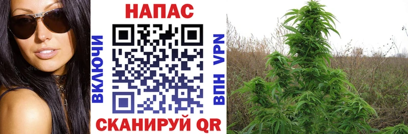 Канабис VHQ Усть-Илимск